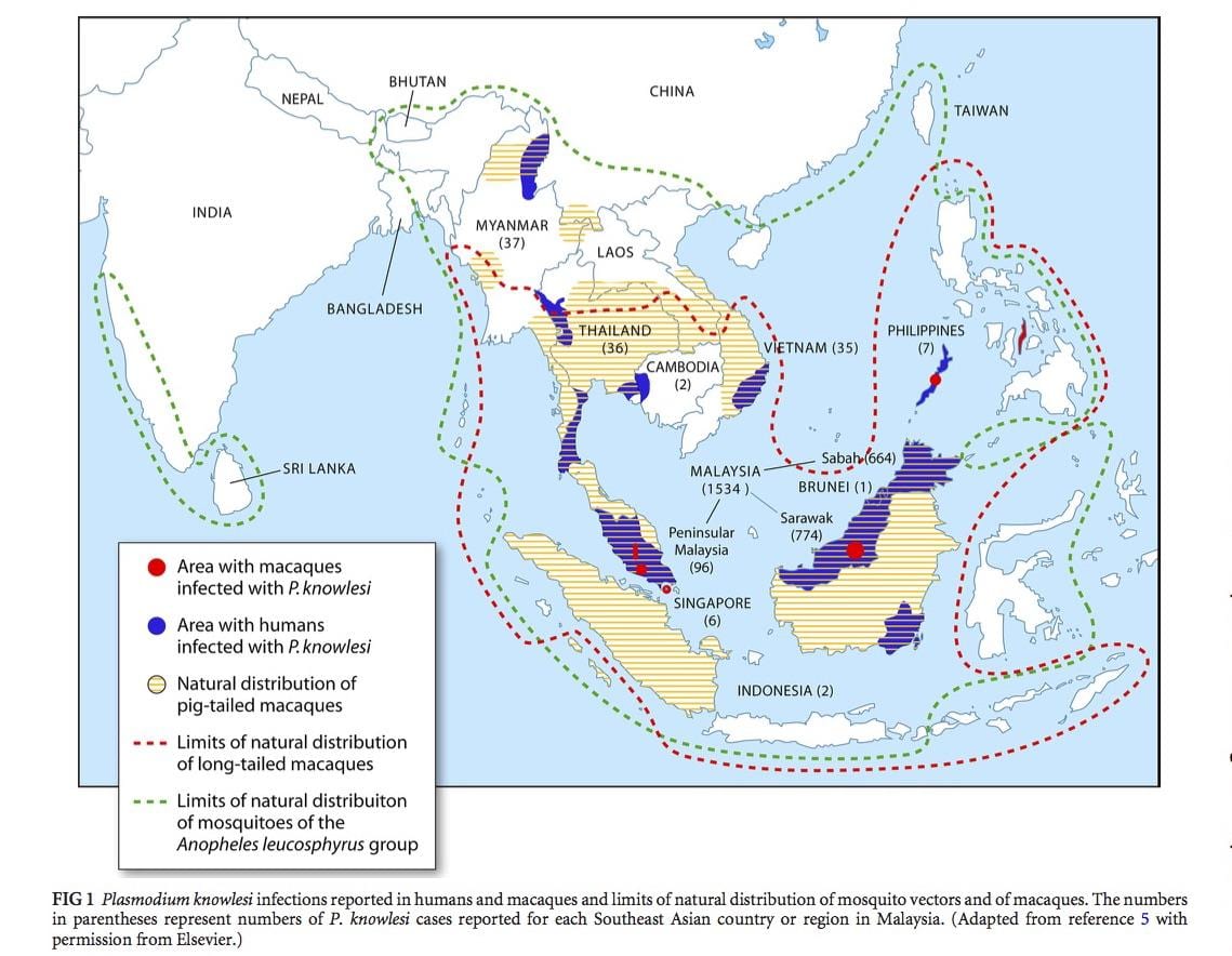peta malaysia malaria
