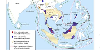 Peta malaysia malaria